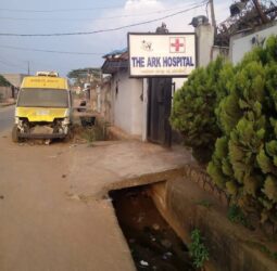 The Ark Hospital