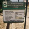 Allied surgery